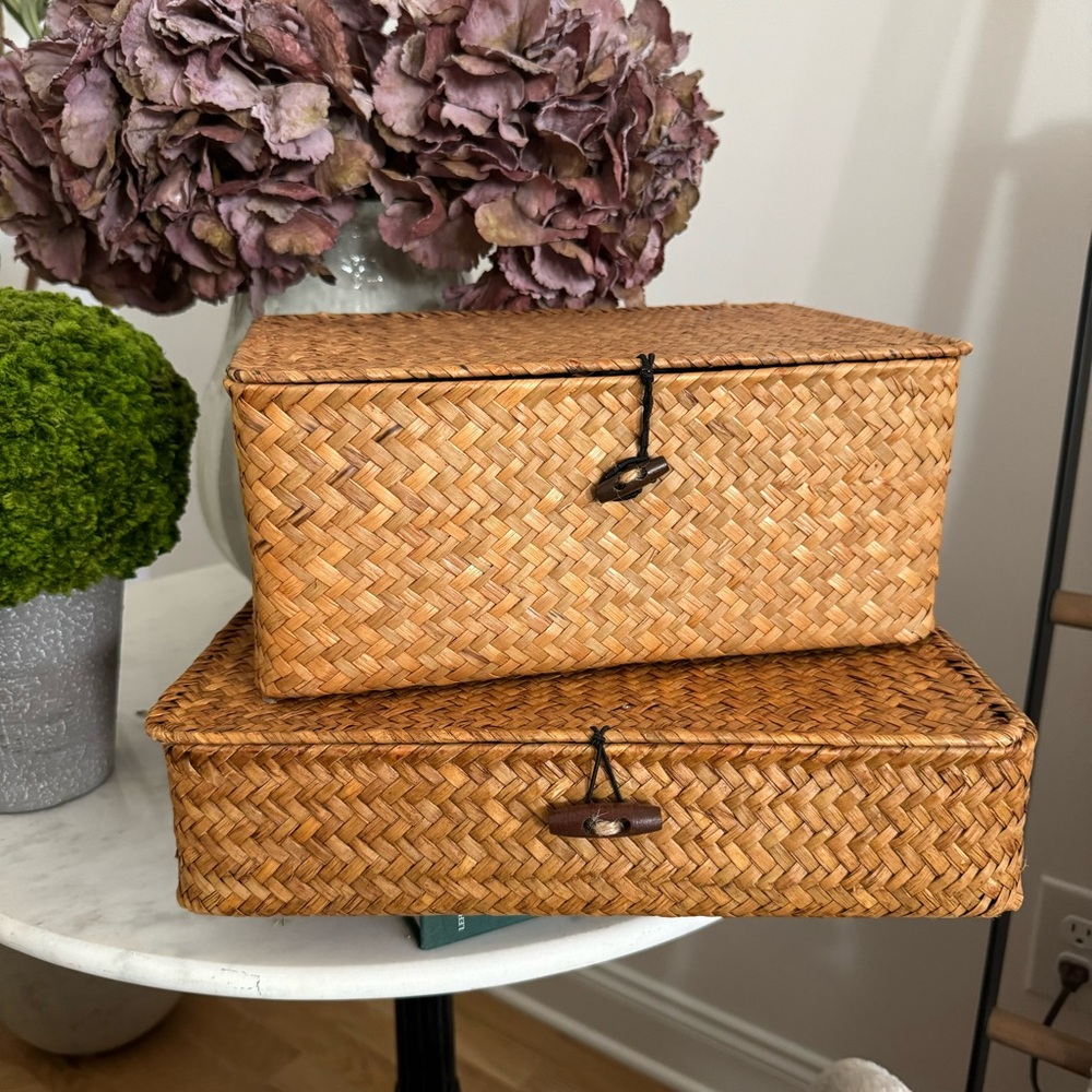 Set of 2 Flat Seagrass Storage Bins with Lid Woven Basket Home Office Organizer